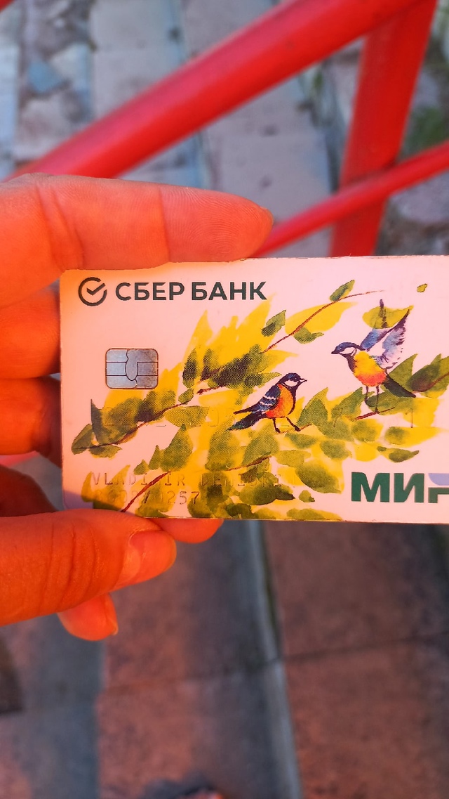 Кто потерял карту Мир на четвёртой остановке в Сукрем?...