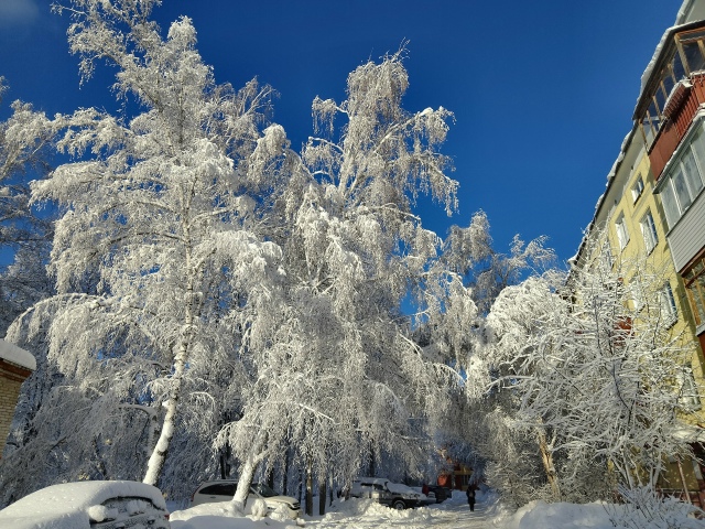 Κpacoтa нeoбыкнoвeннaя в Акaдeмгopoдкe пocлe cнeгoпaдa ❄️