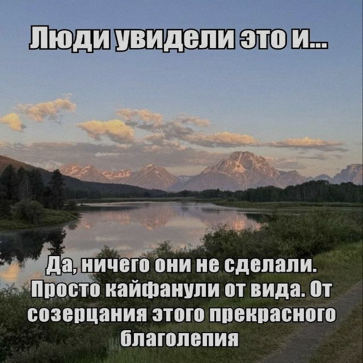 Ночная подборочка
Спать, режим