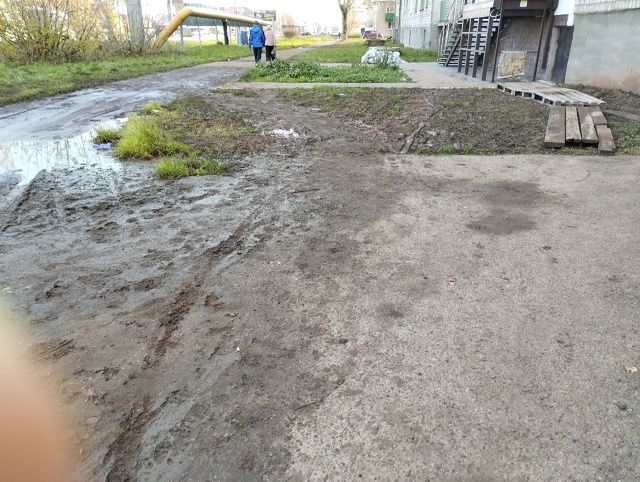 Все тротуары хороши, выбирай на вкус: асфальтированный...