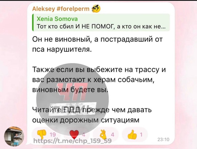 🔴Скандал из-за сбитой на шоссе собаки разгорелся в со?...