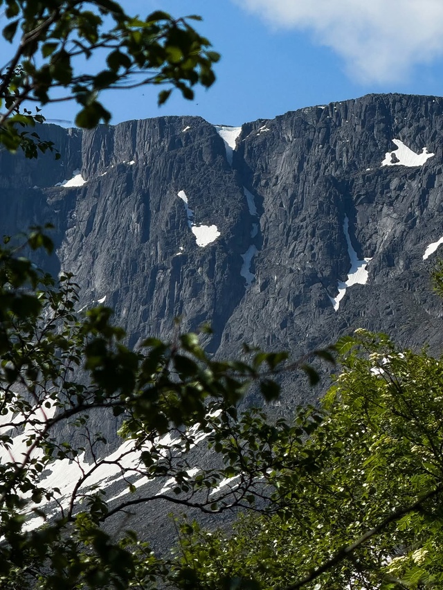 Летние Хибины 🏔️😍
Сейчас, в конце июля, стоит конкре...