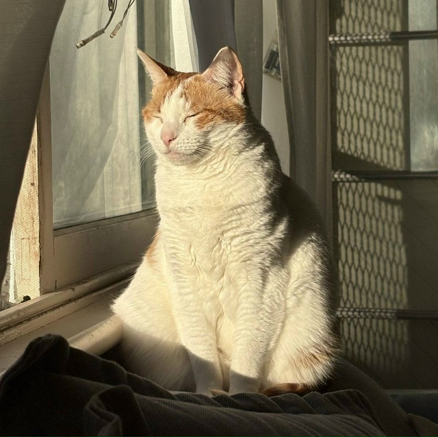 🤩 Аномально тёплый март ожидается в Петербурге, — син...