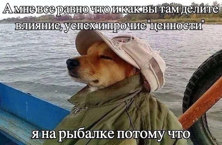 Утренняя подборочка