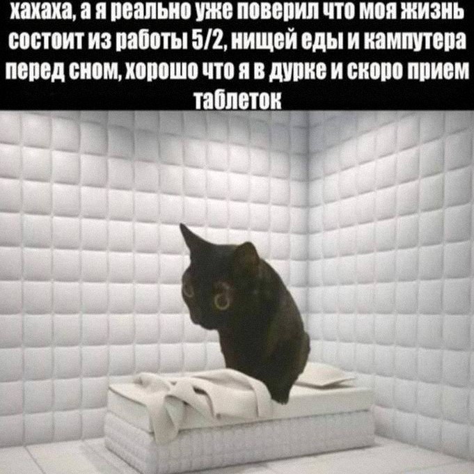 Утренняя подборочка