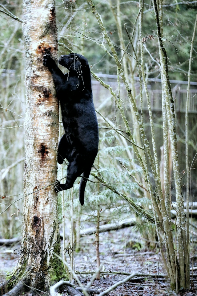 Сегодня заглянул в Подмосковный Сафари‑парк — и, каже...