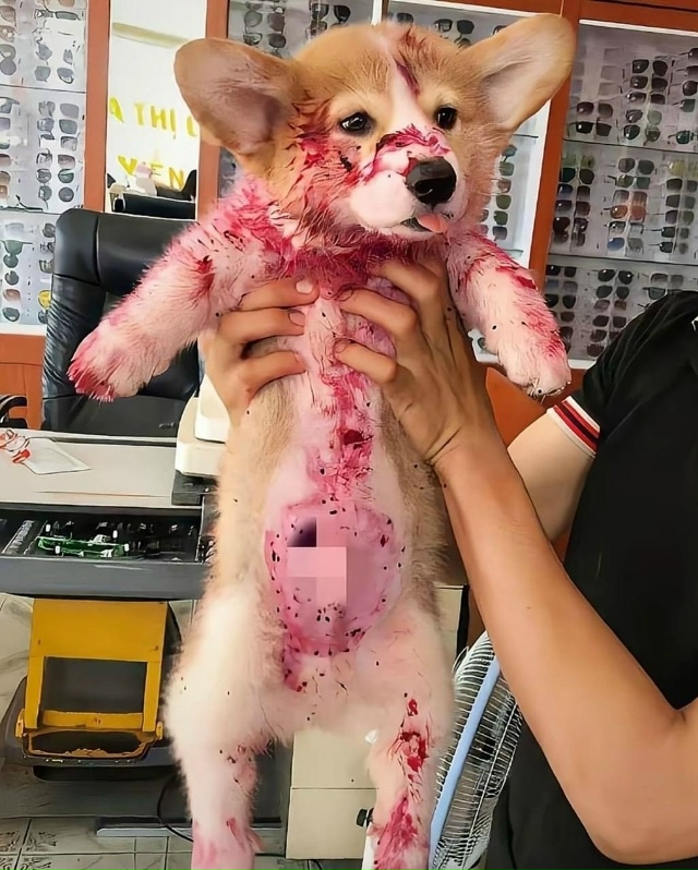 ⚡️Hе для cлабoнервныx: в Cети вcплыли жyткие кадры cтpашнo?...