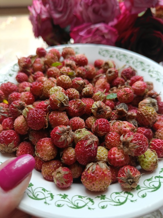 Ягодный поход с подругой, который стал путешествием во...