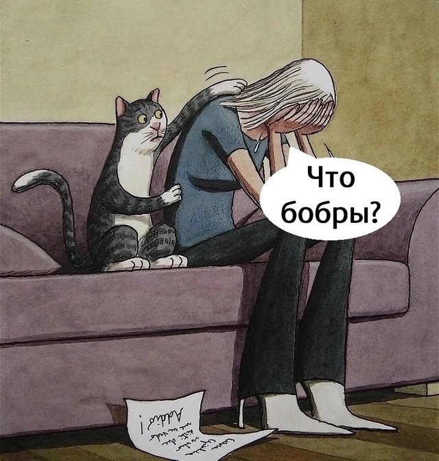 Мудрый котик)