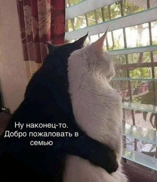 Пердеть при второй половинке — признак здоровых отнош...