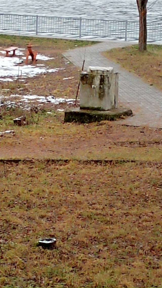 Гуляя сегодня снова по парку 20 - летия Победы, увидела э...