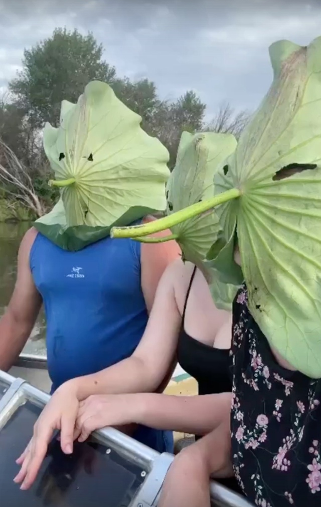 Это видео подняло мне настроение 🤣🤣🤣