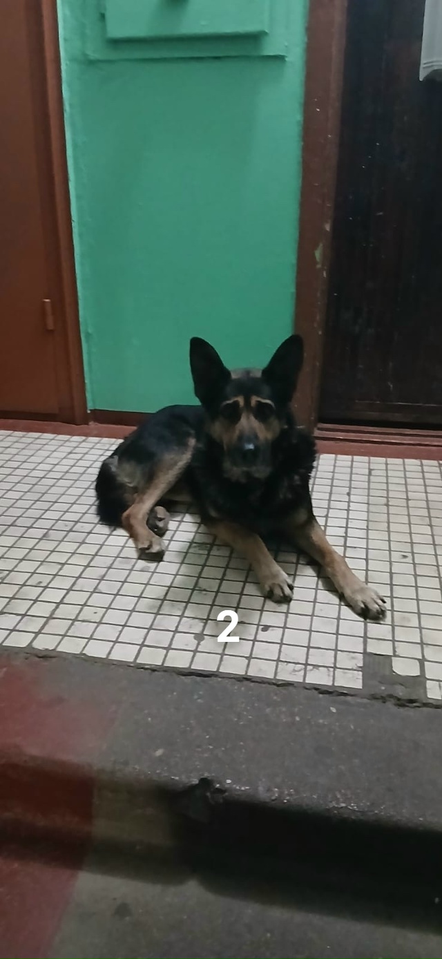 #ПотерялиНашлиПомогите
1 потеряли банковскую карту в ...