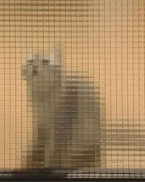 Коты Майнкрафт😆