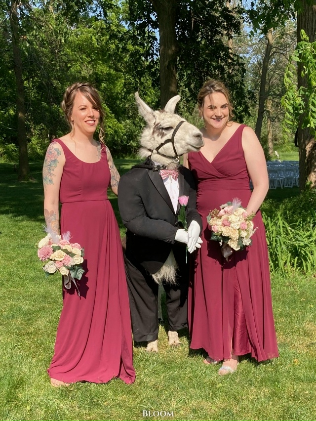 Я плачу.
У этой пары в роли шафера была их домашняя лам?...