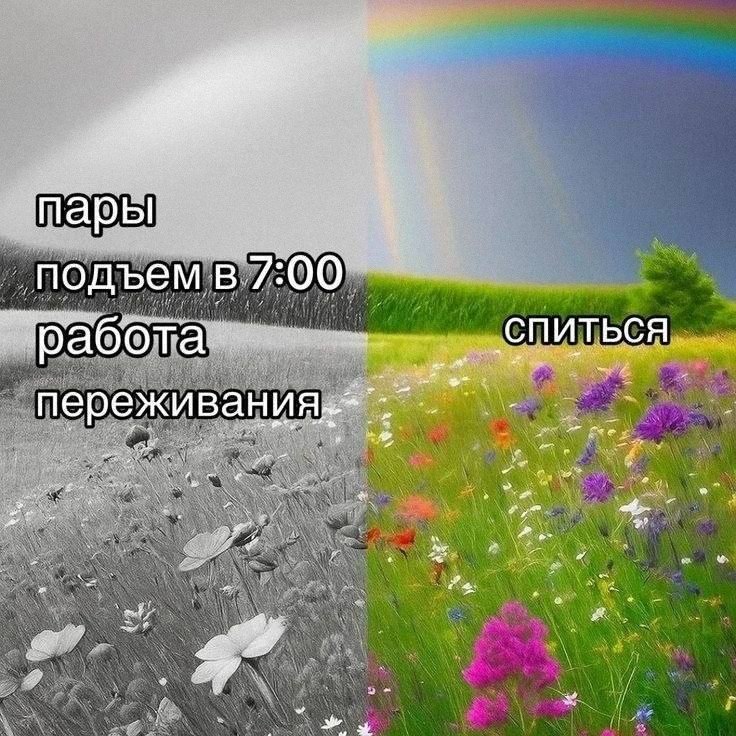 Утренняя подборочка