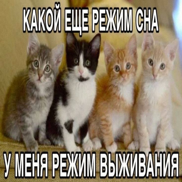 Утренняя подборочка