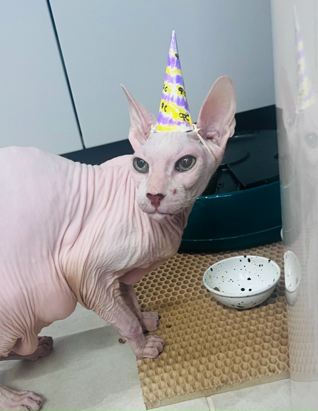 Филипп Сергеевич Э. В детстве был просто Феликсом, Феле...