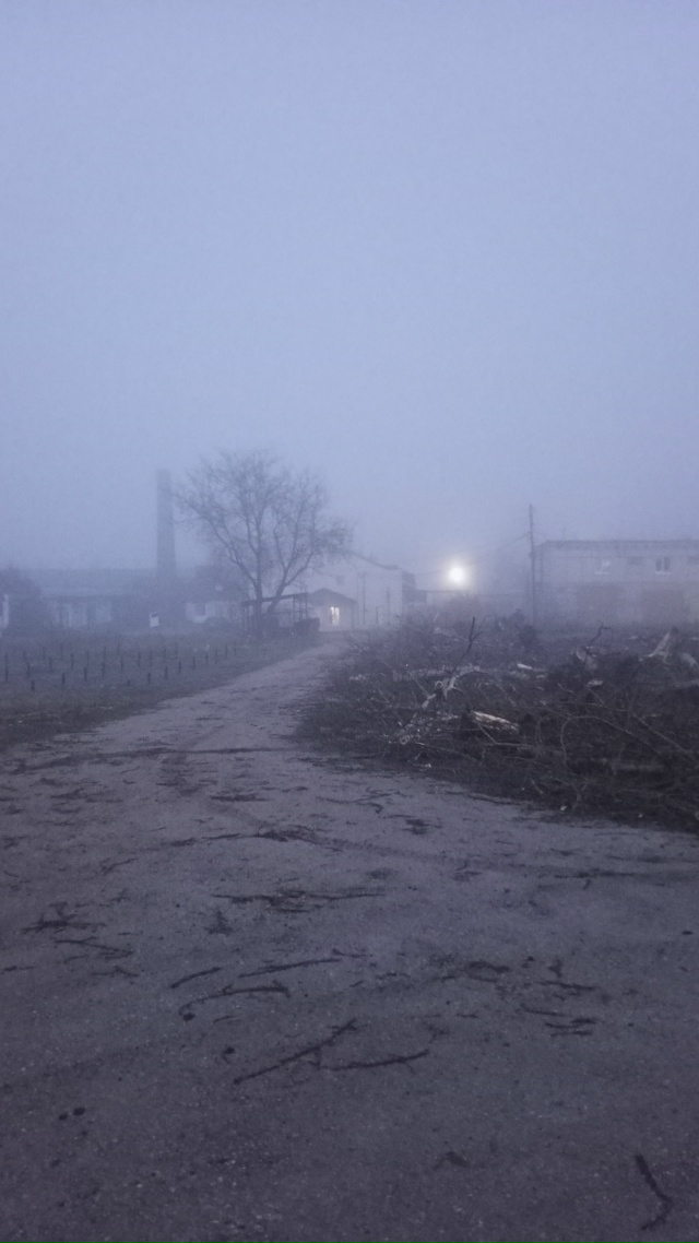 Мгла, Сайлент Хилл, у нас тут своя атмосфера 👻