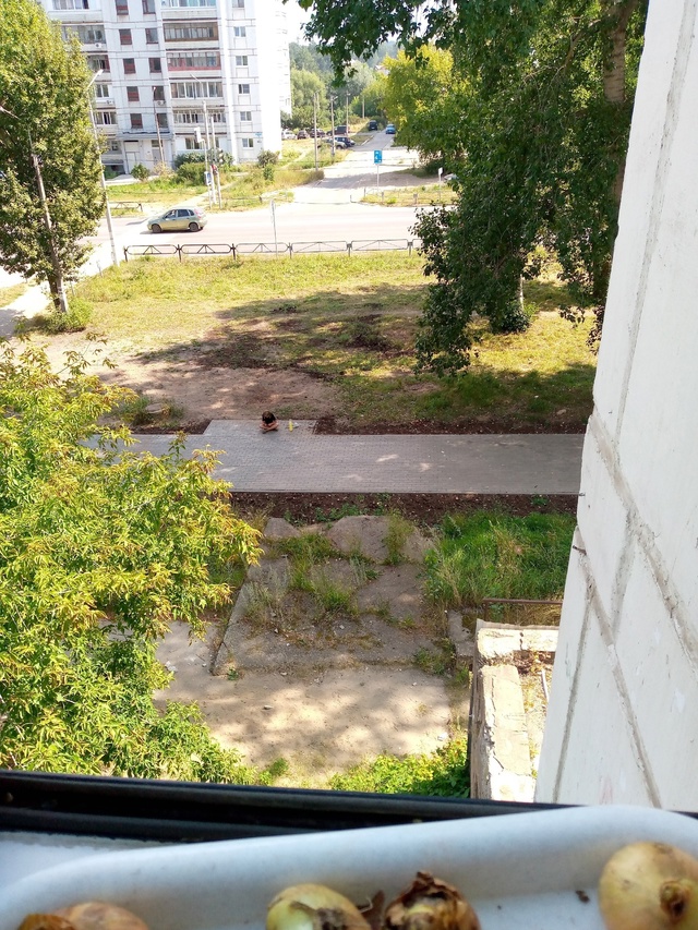 А где же наши скамеечки?
От Азинского перекрестка и до ...