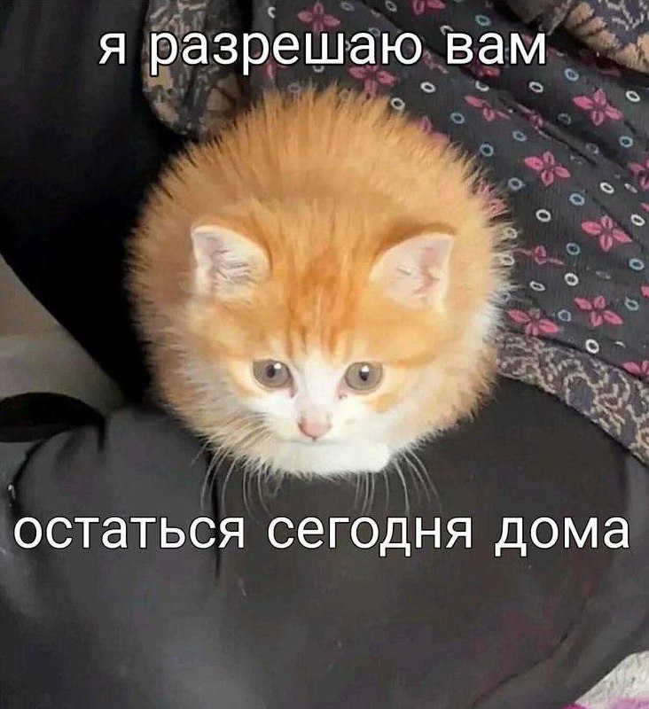 Утренняя подборочка