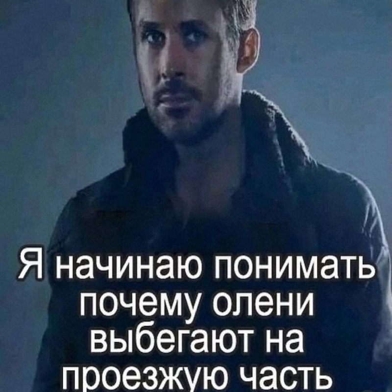 Утренняя подборочка