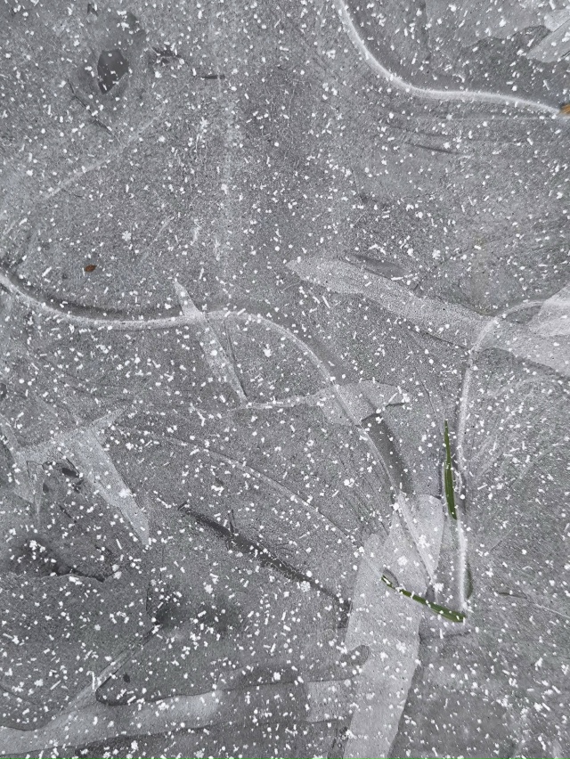 Замерло всё в ожидании зимы...
Фото: [id7677905|Анна Шейко]