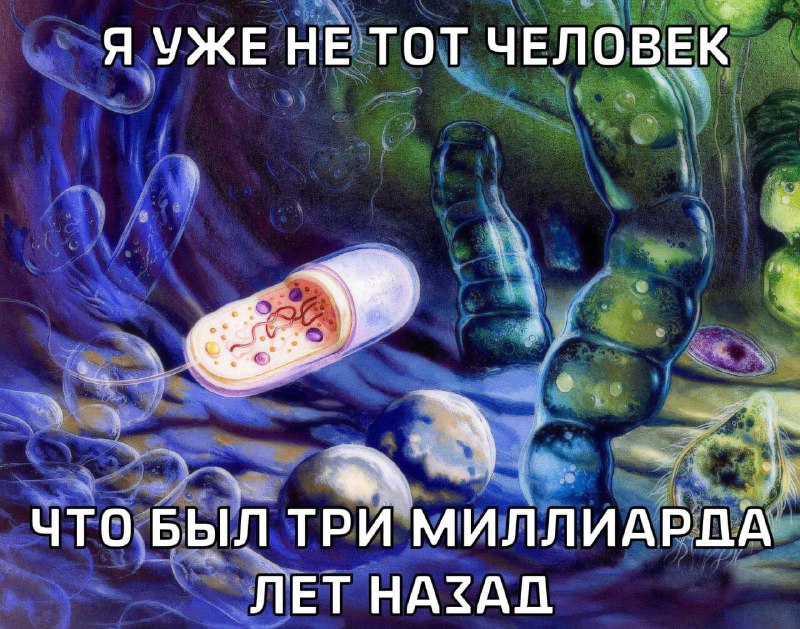 Утренняя подборочка