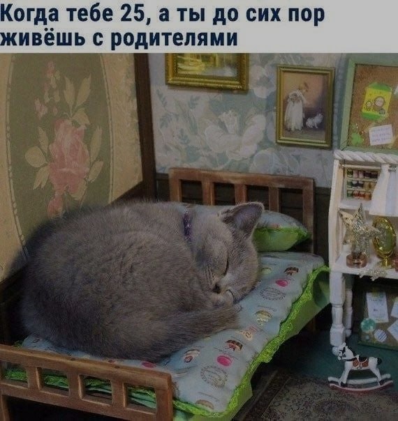 Ночная подборочка
Спать, режим