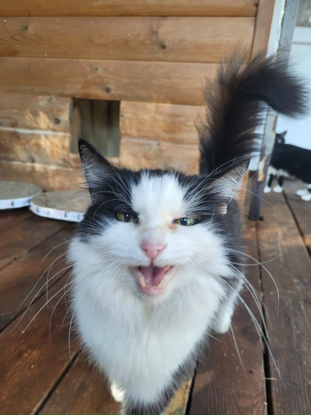 ‼️СРОЧНО
МОСКВА И МОСКОВСКАЯ ОБЛАСТЬ‼️
?Доставим ?...