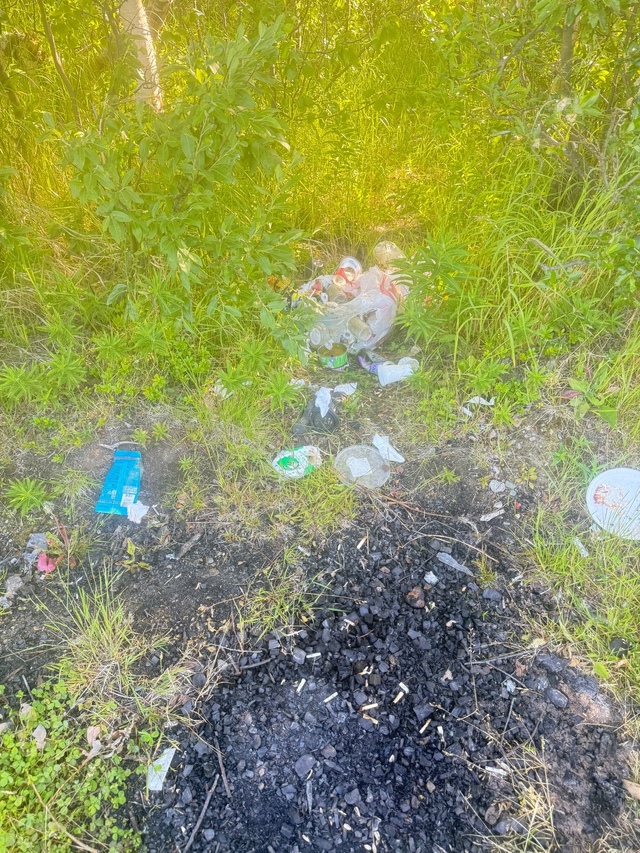 На 9 км опять мусорят
На 9 км снова появился бытовой мус...