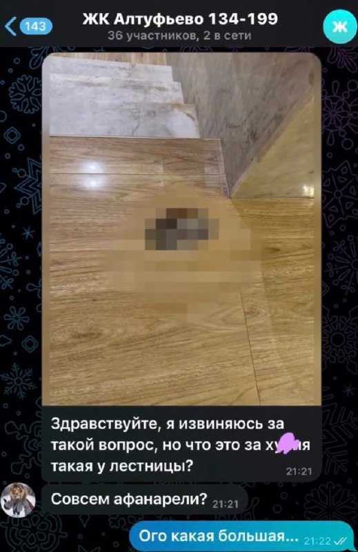 «Не убрал говно — не мужик»: такую дискуссию спровоцировала в домовом чате куча дерьма у двери одной