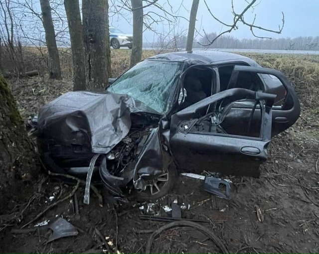 ‼️ Пьяный водитель врезался в дерево в Дубровском рай...