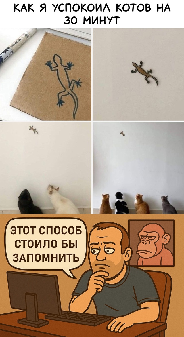 Безумные приколы
Как увлечь кота на какое-то время