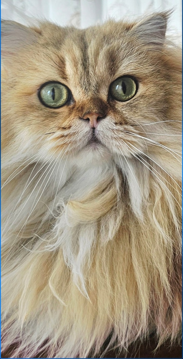 Джекки 😻❤️🌹