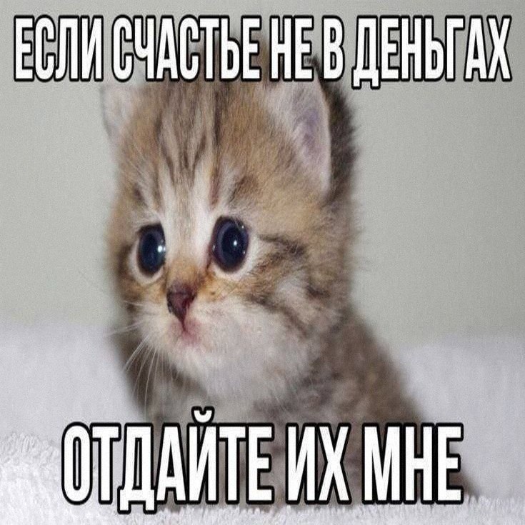 Утренняя подборочка