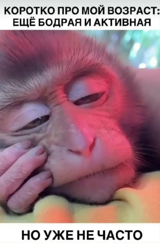 Чем заняты?