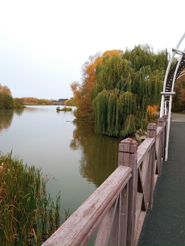 Осенний Спутник