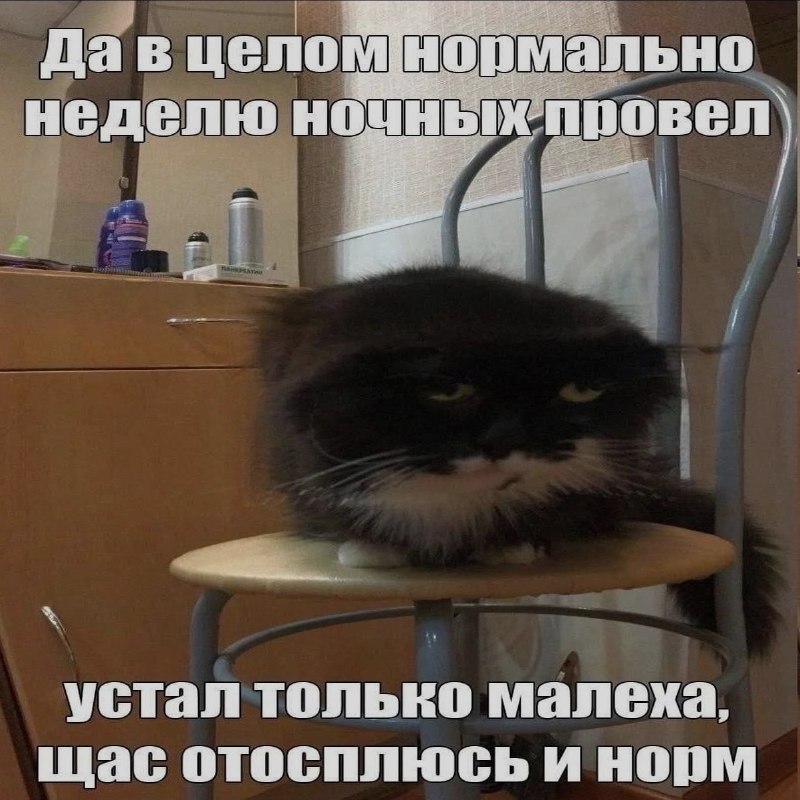 Ночная подборочка
Выходные, не спим