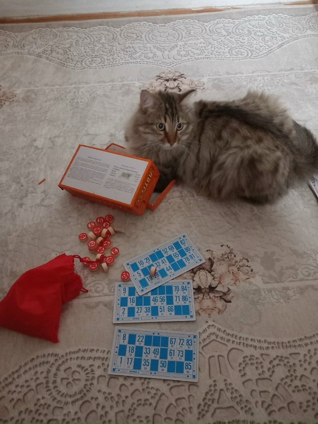 Увлекательная игра в лото.