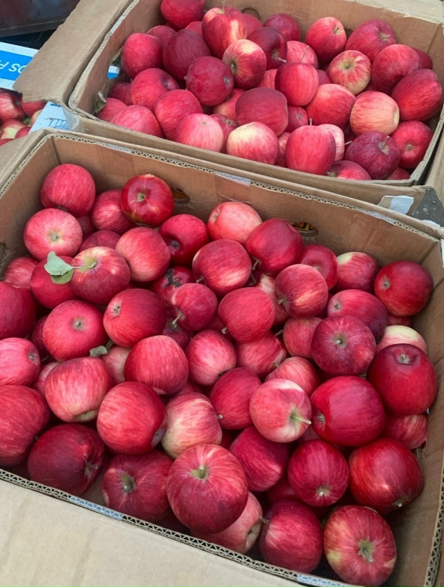 Дорогие друзья! С. КРАСНОУСОЛЬСКИЙ🍎🍐ПРИЕДЕМ НА ЯРМА?...