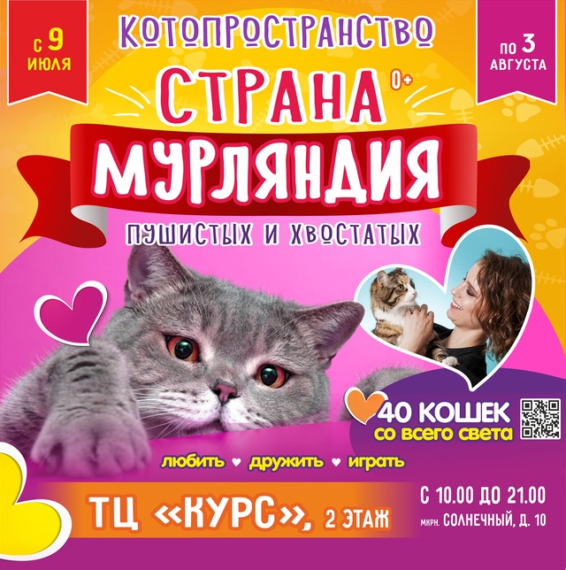 Видное ! С 9 июля по 3 августа ! Котопространство «Страна...