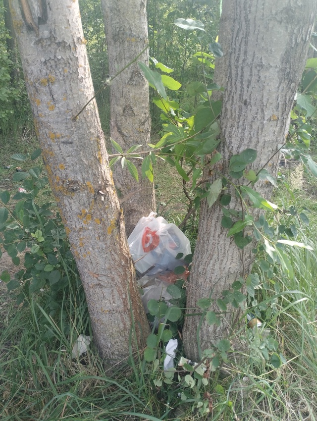 Пожалуйста анонимно . Продолжение недавнего поста про ...