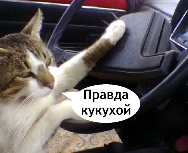 Кто не знает, это прям очень быстро