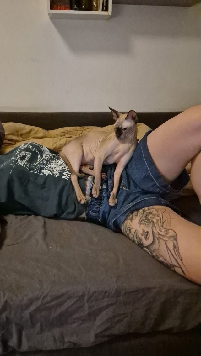 Кажется, эта кегля отъела жопс и уже не сильно помещает...