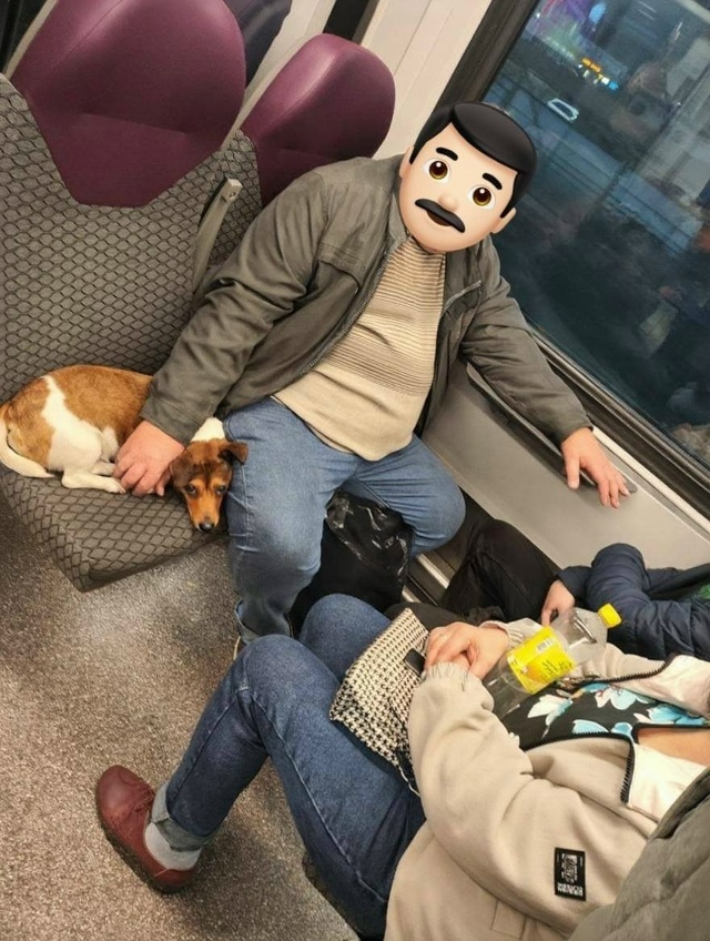 Такая вот история
Сталкивались с подобным?
«Ехала на...