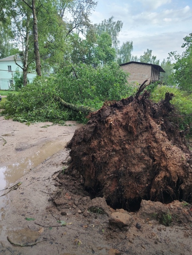 Доброе утро! Вот такое утро в Острове - 2