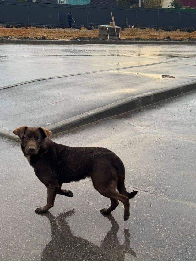 Обращаюсь ко всем не равнодушным. К нашему ЖК пробилас?...