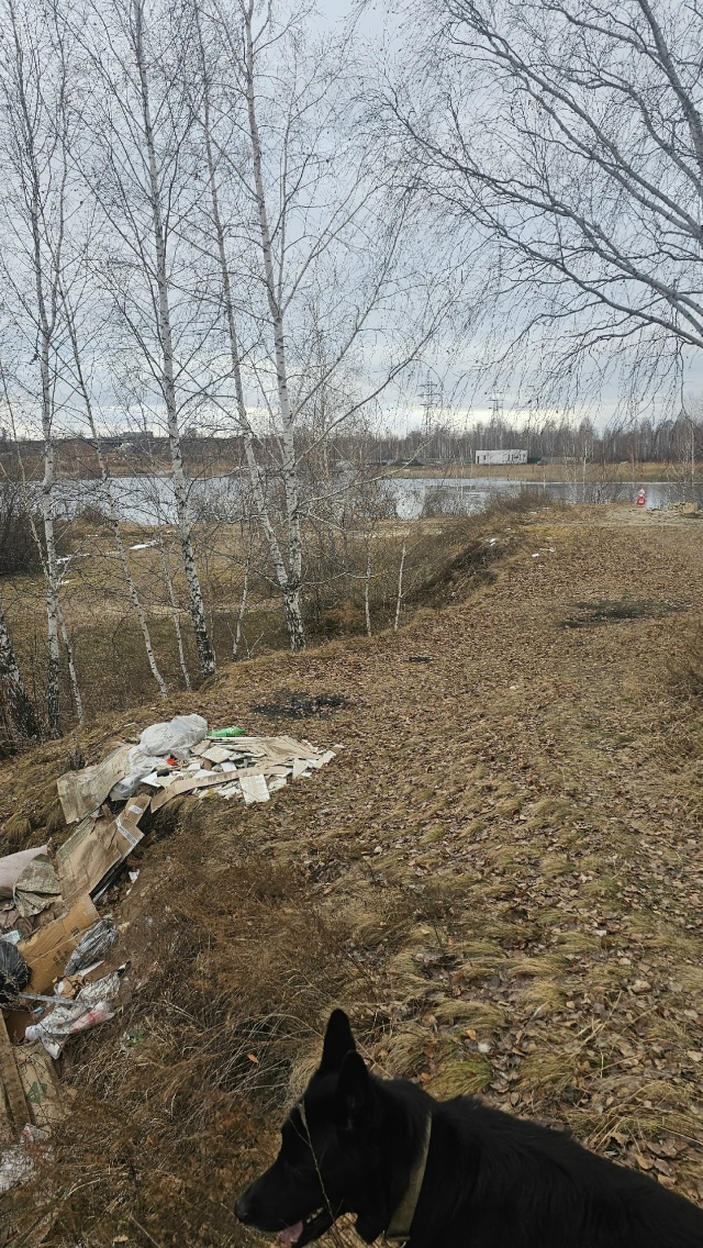 Гулял сегодня в парке и на Песках увидел вот такую карт...