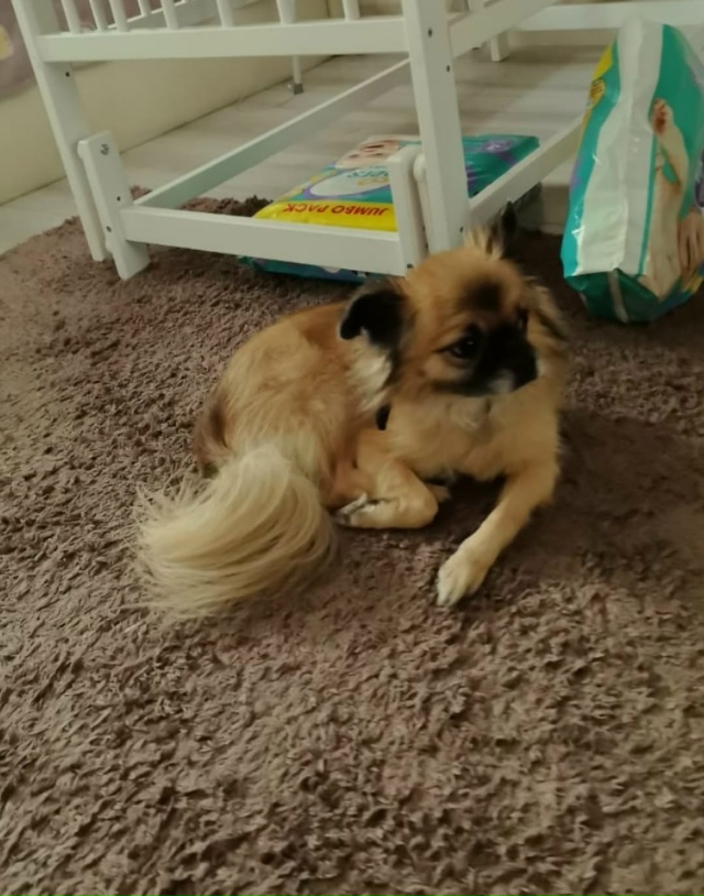 Пропустите, пожалуйста
🆘️🆘️🆘️🆘️🆘️🆘️🆘️🆘️?...